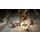Switch Pikmin 1 + 2 - 1184074 - zdjęcie 4
